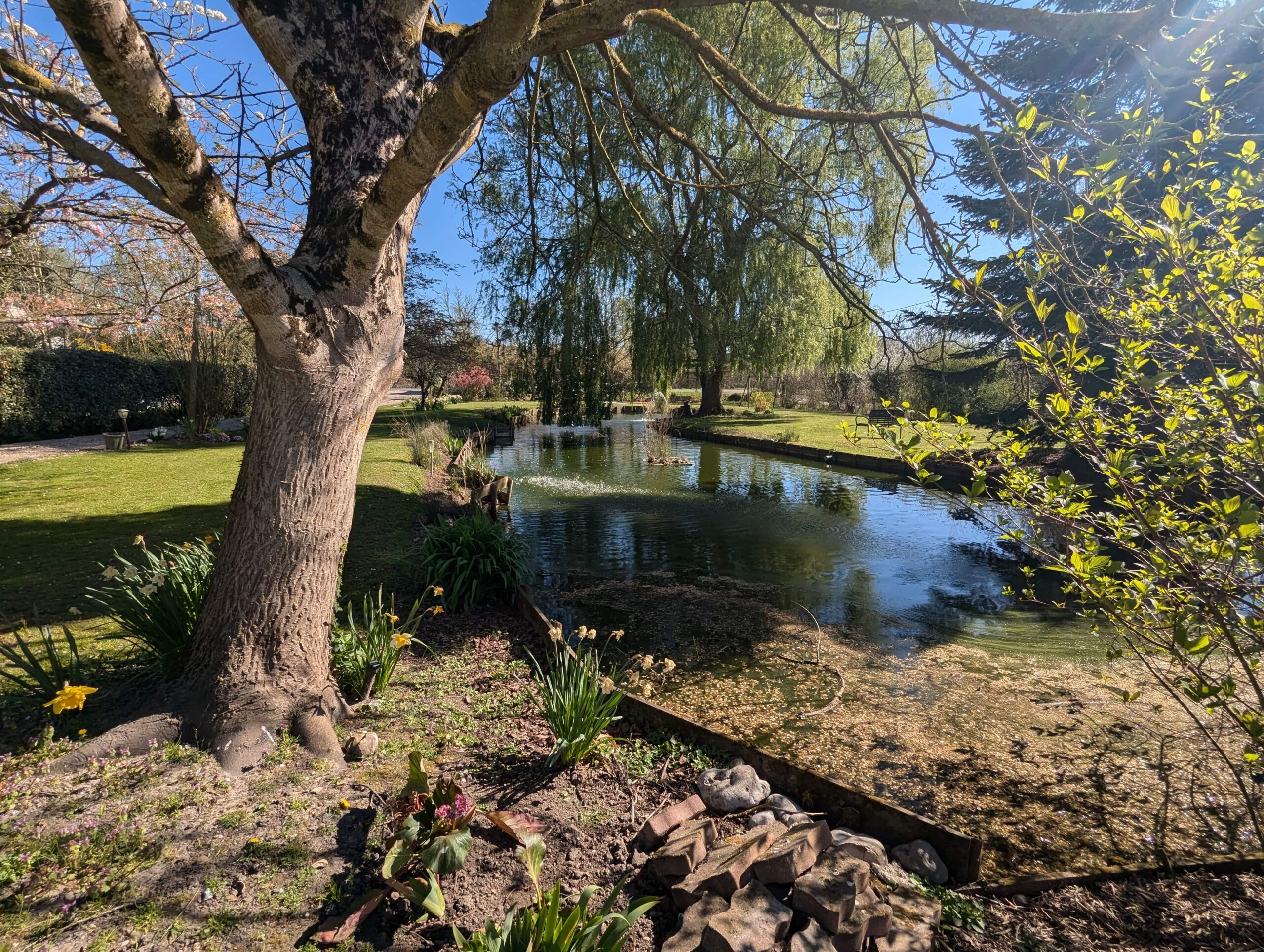 Extérieurs de la Fermette du Marais 2025
